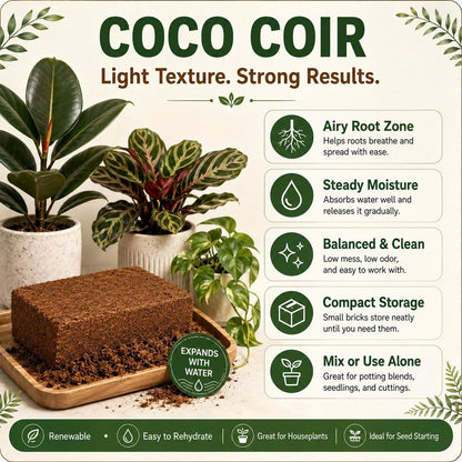 COIRIVA Compressed Coco Coir Bricks