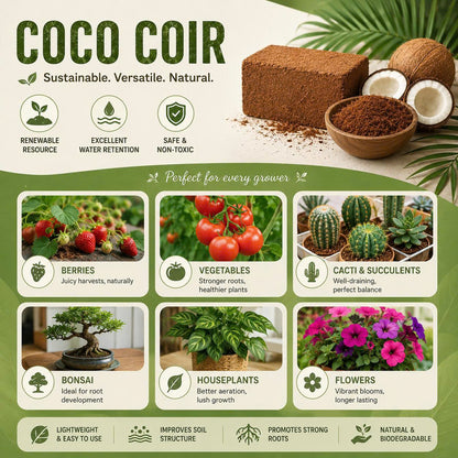 COIRIVA Compressed Coco Coir Bricks
